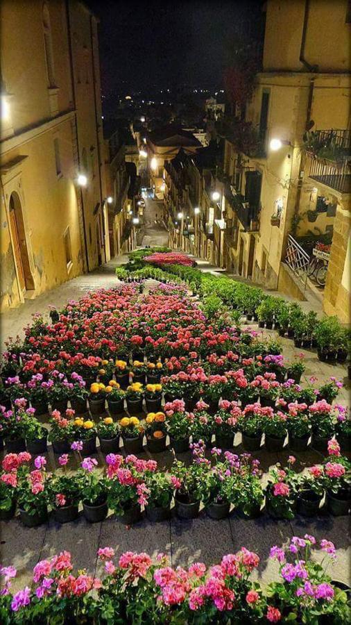 B&B Con Cucina La Ninfea Caltagirone Exteriér fotografie